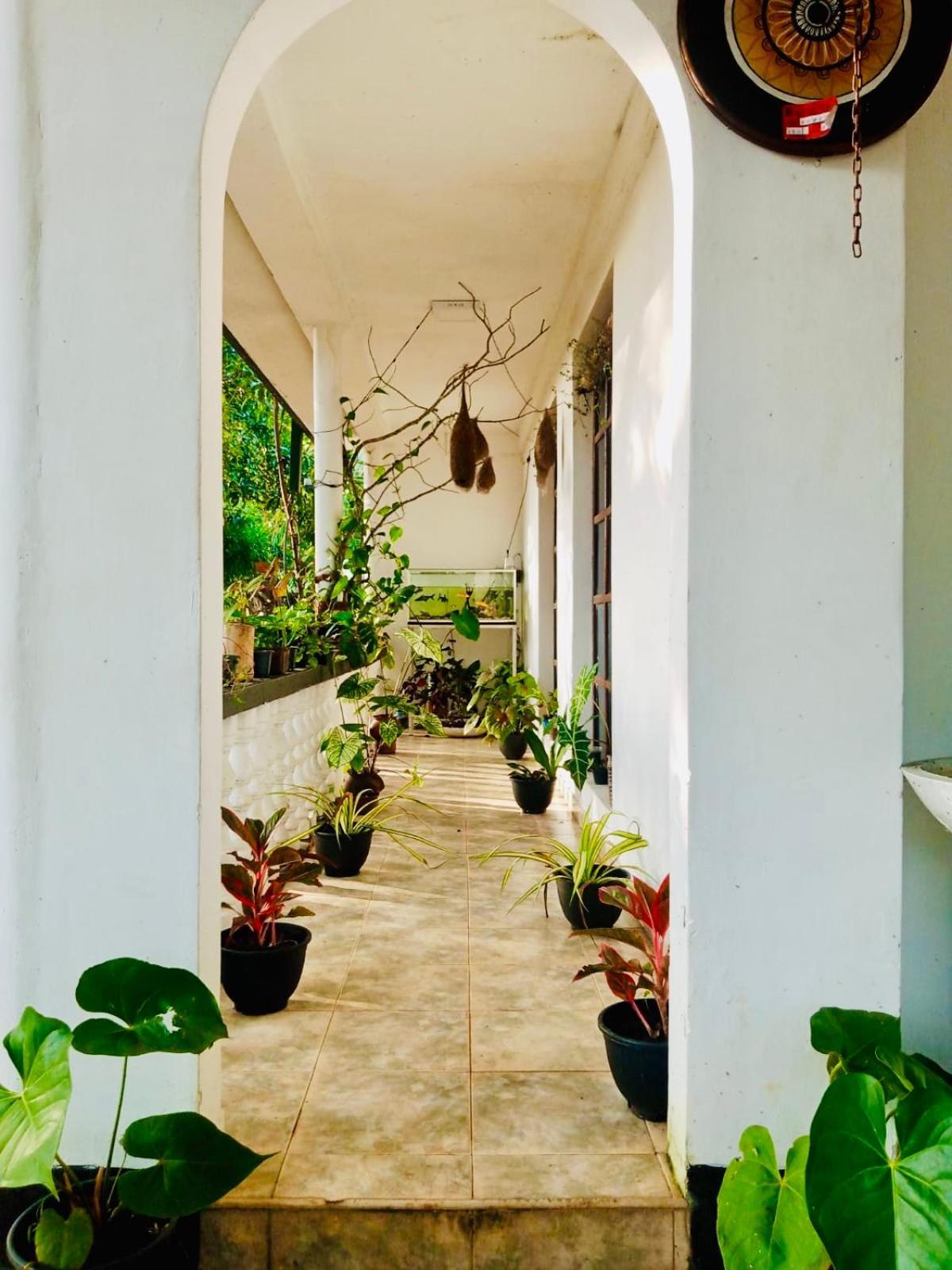 Abhaya Resorts Anuradhapura Zewnętrze zdjęcie